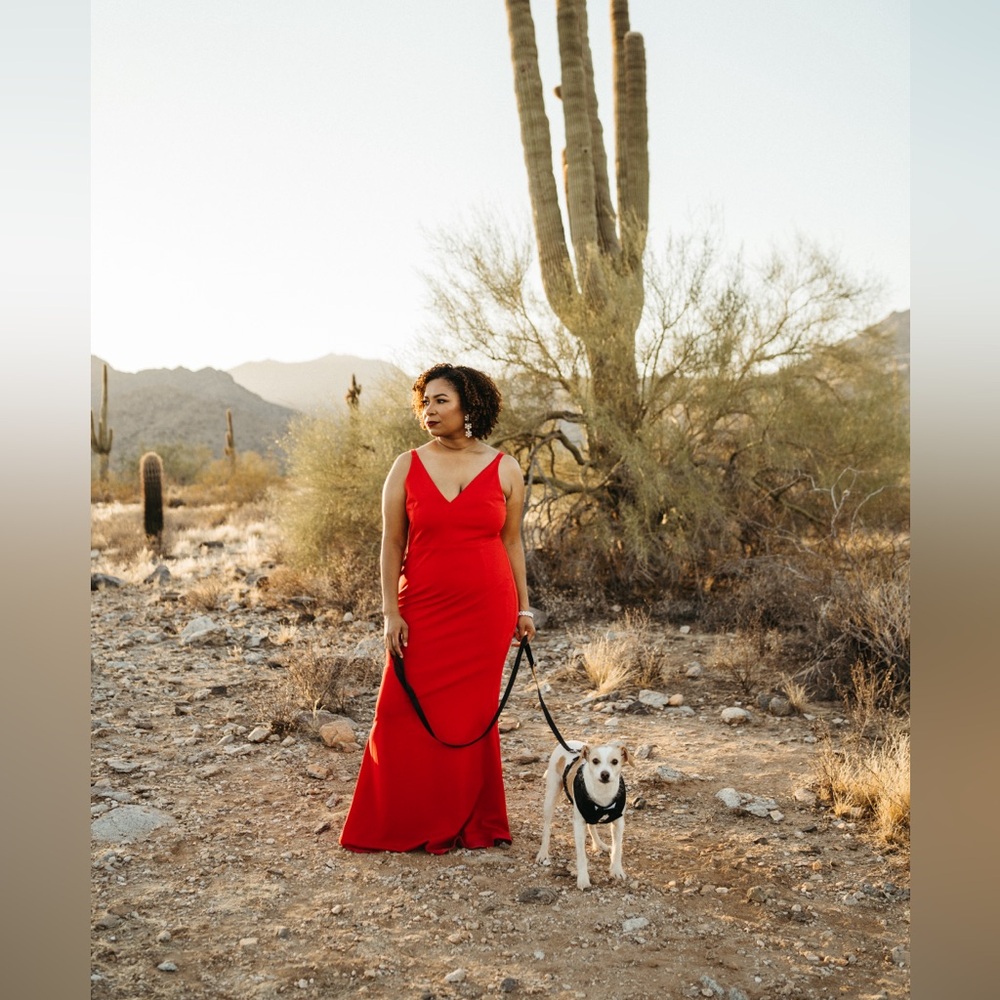 Red Evening Gown